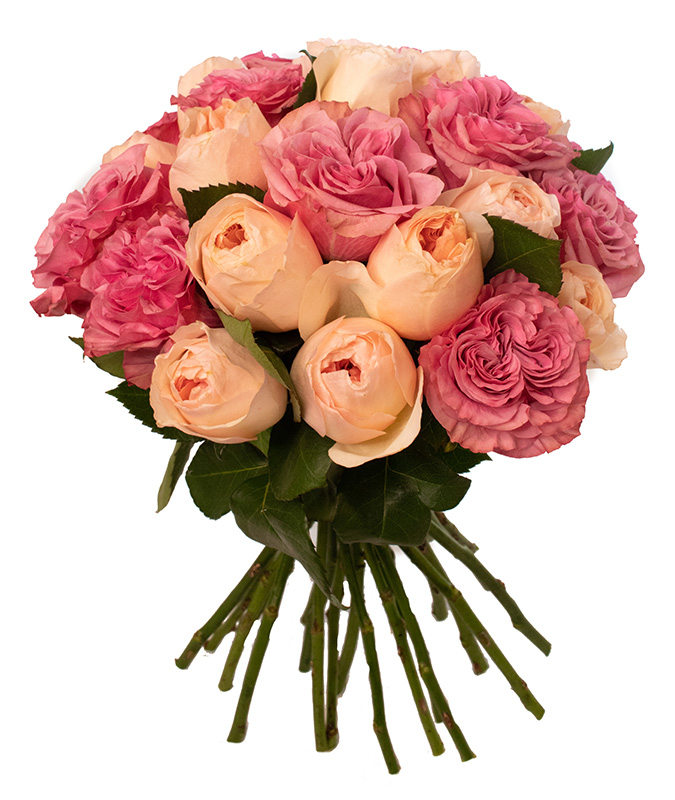 Букет 25 пионовидных роз